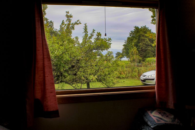 Best Window Replacement Contractors in Hutchinson, MN